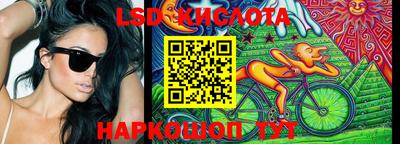индика Лесосибирск