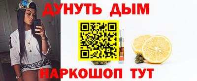 индика Лесосибирск