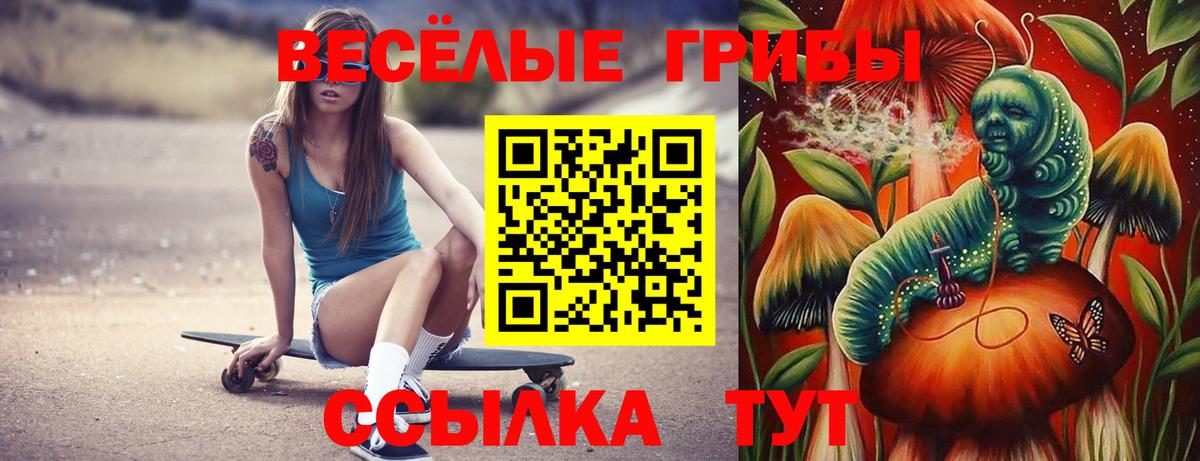 Галлюциногенные грибы MAGIC MUSHROOMS Верхняя Пышма