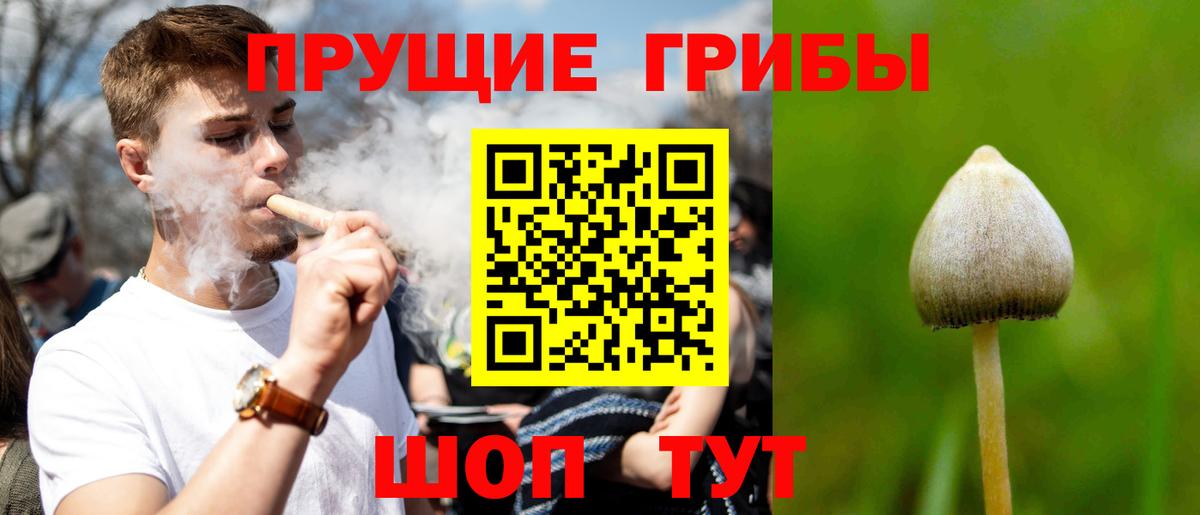 магазин продажи наркотиков  Вход с VPN  Верхняя Пышма  Псилоцибиновые грибы GOLDEN TEACHER  Галлюциногенные грибы мухоморы 